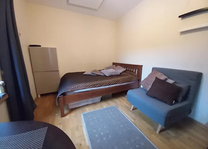 Maironio Gt 19-7 Apartament Wilno