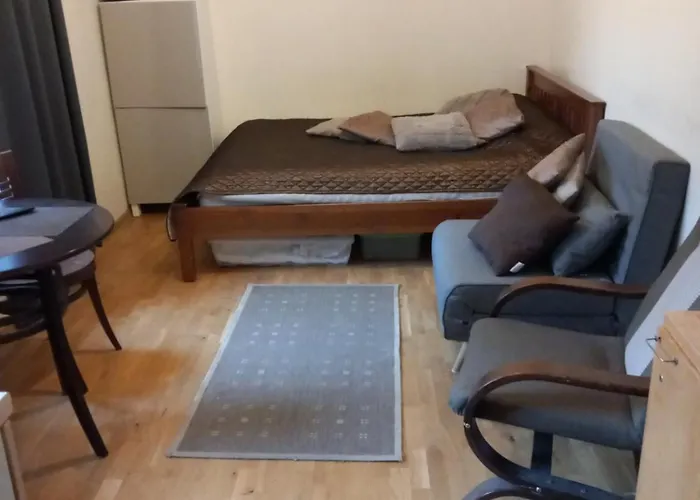 Maironio Gt 19-7 アパート *