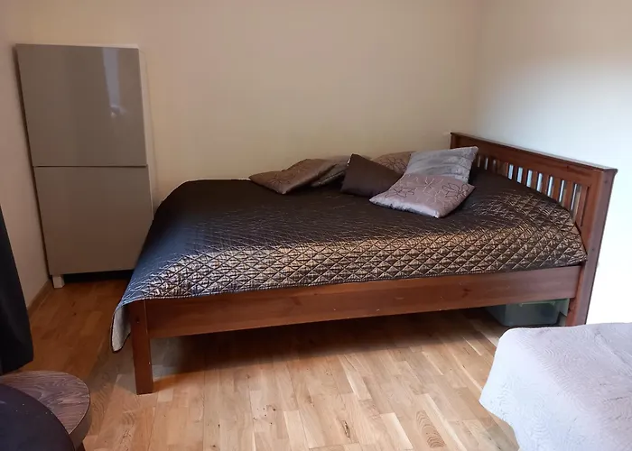 Maironio Gt 19-7 Lejlighed Vilnius